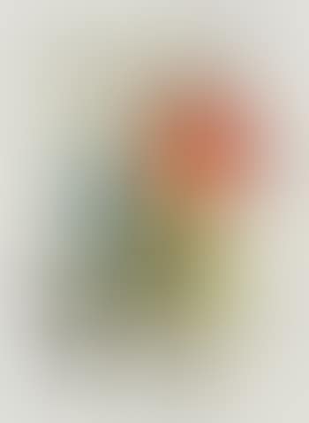 Derriere le miroir 12 (preview)