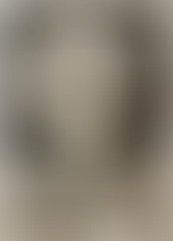 Picasso als Clown – Foto (preview)