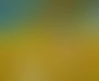 Rainbow and Wheatfield (preview)