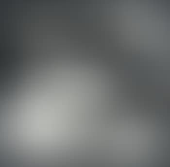 Abbatoir, Vache (preview)