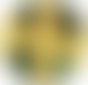 Senza titolo (preview)