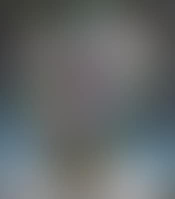Flowers (preview)