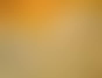 Yellow landscape (preview)