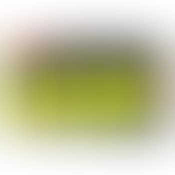 LEGR (preview)