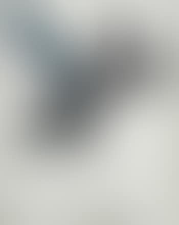 Bugfuck (preview)