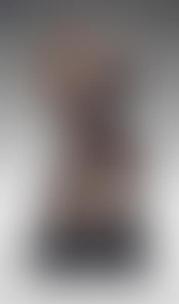 Seated Torso (Study for Ham Hill Torso 2) (preview)