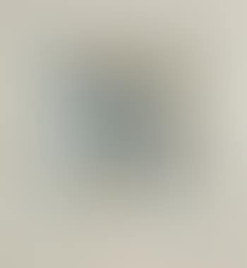 1980 (Still life moving) (preview)