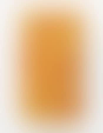Untitled (L C Garden Painting No. 8) (preview)