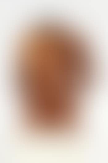 Torso (preview)