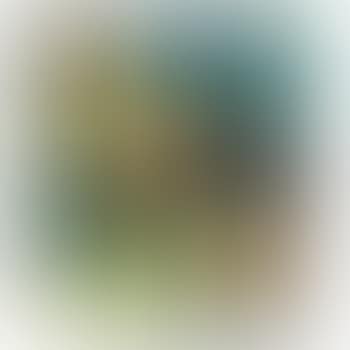 Planta Transparente (preview)