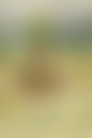 Personnage surrealiste (preview)