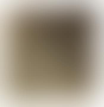 Struktur (preview)