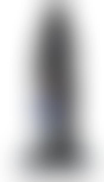 Richard Wagner (preview)