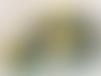 Landscape (preview)