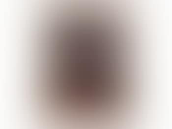 Portrait of a Lady (preview)