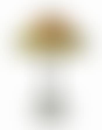 A 'Poppy' Table Lamp (preview)