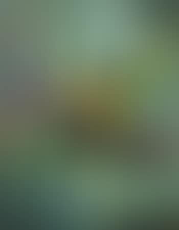 Nature morte aux dahlia (preview)