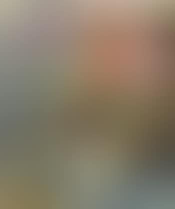 Nature morte aux tulipes (preview)