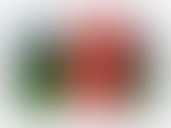 Counter Skin in Recklinghausen (preview)