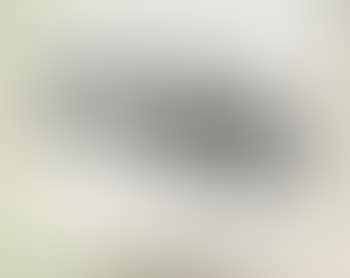 Horn (preview)