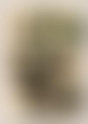 Untitled (preview)
