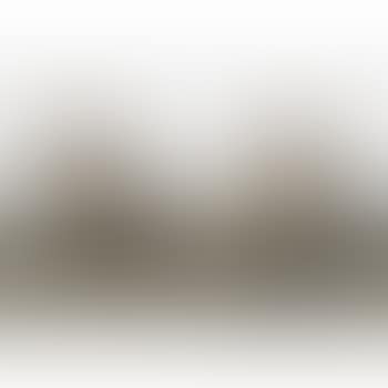Pair of Side Chairs (preview)