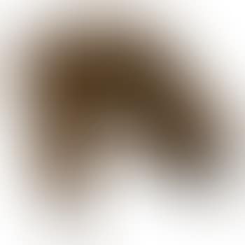 [Untitled] (preview)