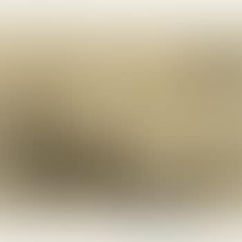 White Underwear (H., C. & I. 247) (preview)