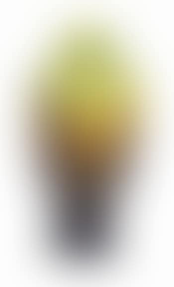 Landscape Vase (preview)