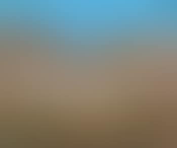Shoalhaven (preview)