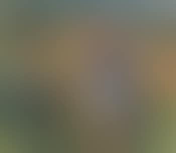 Im Freien (preview)
