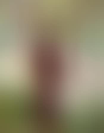 Der Maler Marc Gonthier (preview)