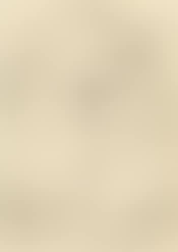 Two Nudes (Doppelakt) (preview)