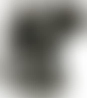 Ape (Der Affe) (preview)
