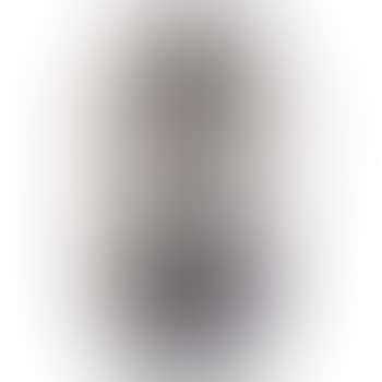 Two-handled vase (preview)