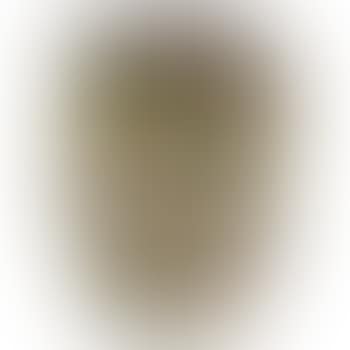 Large vessel with ruffled rim (preview)