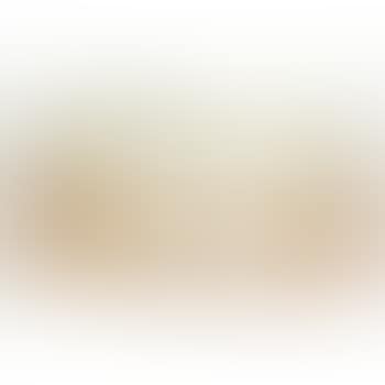 [Untitled] (preview)