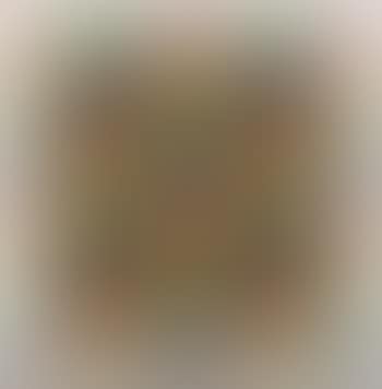 Serie 31 D n. 10 (preview)