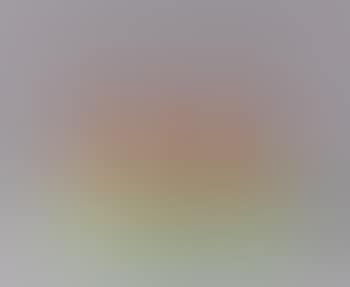 Three cloned orange ducks (preview)