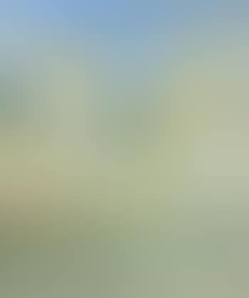 Amalfi (preview)