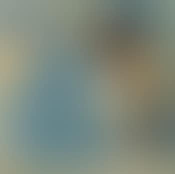 Studie zu: Die Toilette (preview)