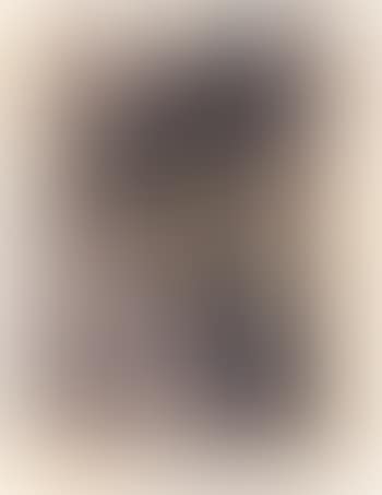 Selbstbildnis am Fenster (preview)