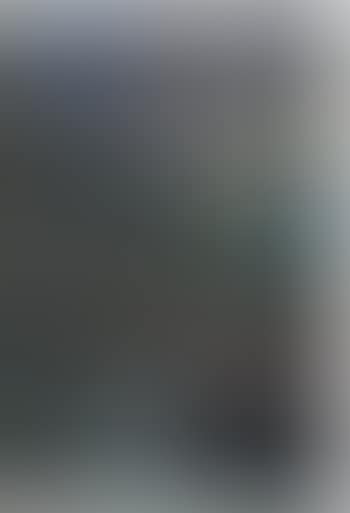 De røde runer (preview)