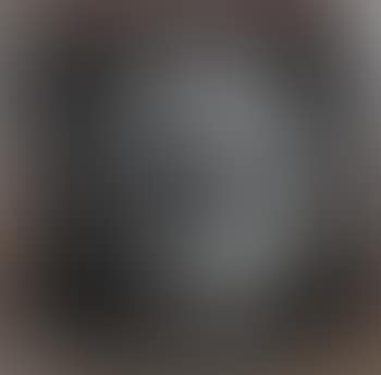 Profil de Taureau Fonce (preview)