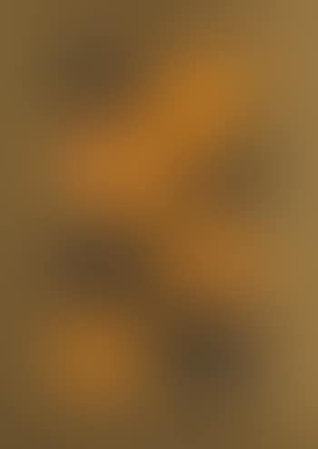 O.T (Abstraktion vor goldenem Grund) (preview)