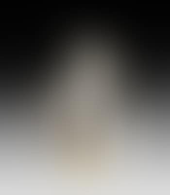 Taureau (preview)