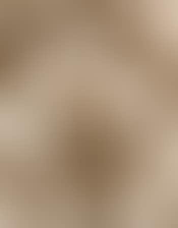 Helleborus foetidus (preview)