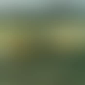 Lakeside (preview)