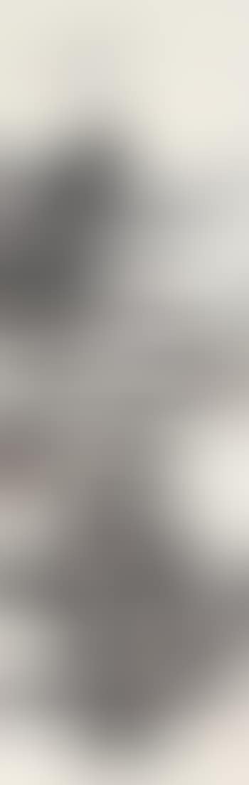 Landscape (preview)