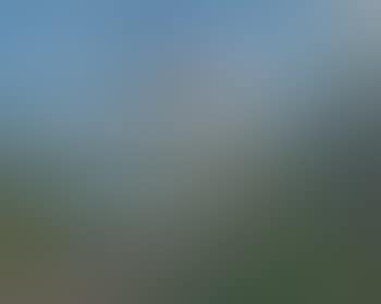Landscape with Fish Camp, Cow, and Birds in Flight (preview)